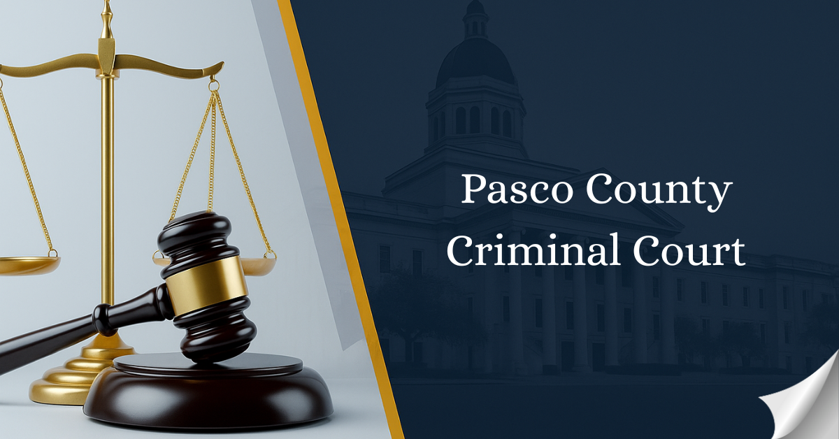 Pasco County Criminal Court